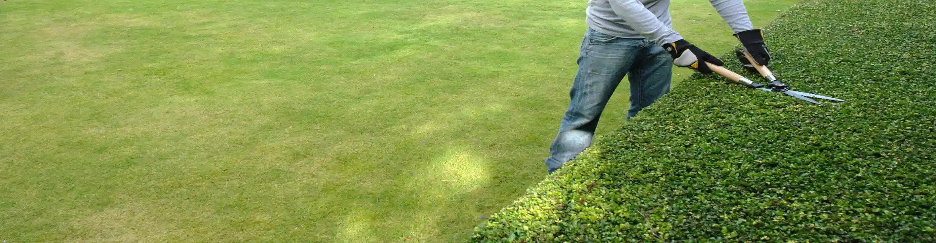 Entretien de jardin à Vence